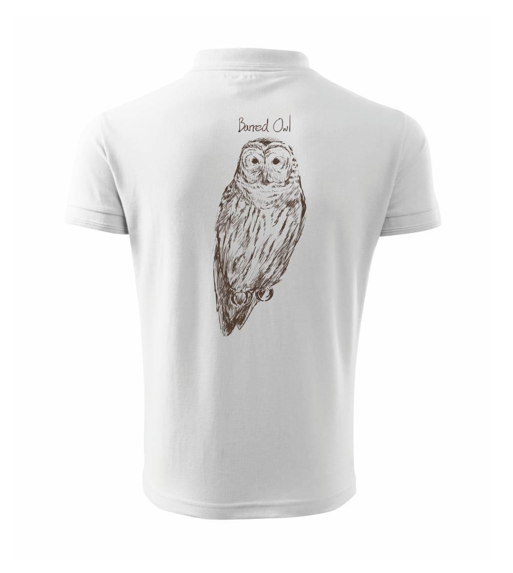 Sova pásikavá  Barred owl Sova pásikavá  Barred owl