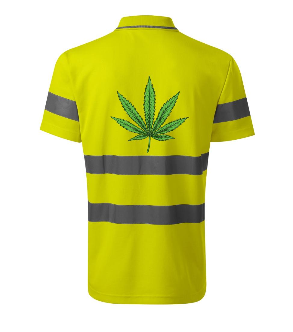 Zelený list Zelený list