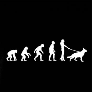 Evolúcia pes Nemecký ovčiak (muž-žena)