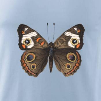 Motýľ motýle Motýľ motýle