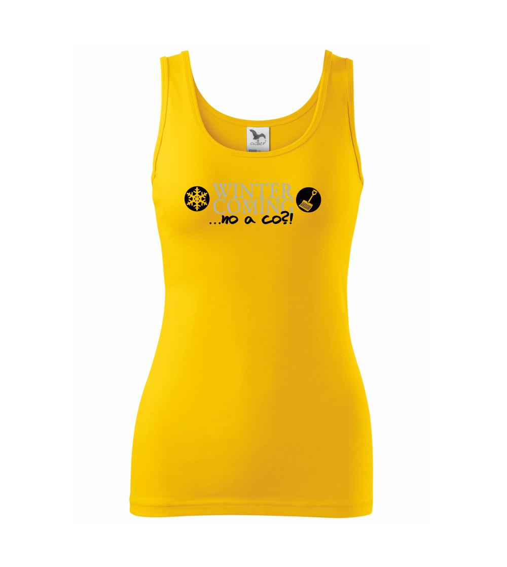 Winter Is Coming parodie