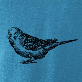 Ceruzkou kreslený Papagáj