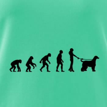 Evolúcia pes afgánsky chrt (muž-žena)