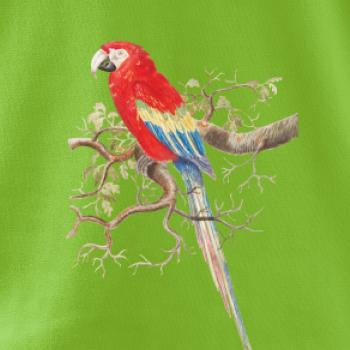 Papagáj  na listnatom strome Papagáj  na listnatom strome