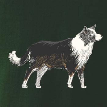 Border kólia kreslená Border kólia kreslená