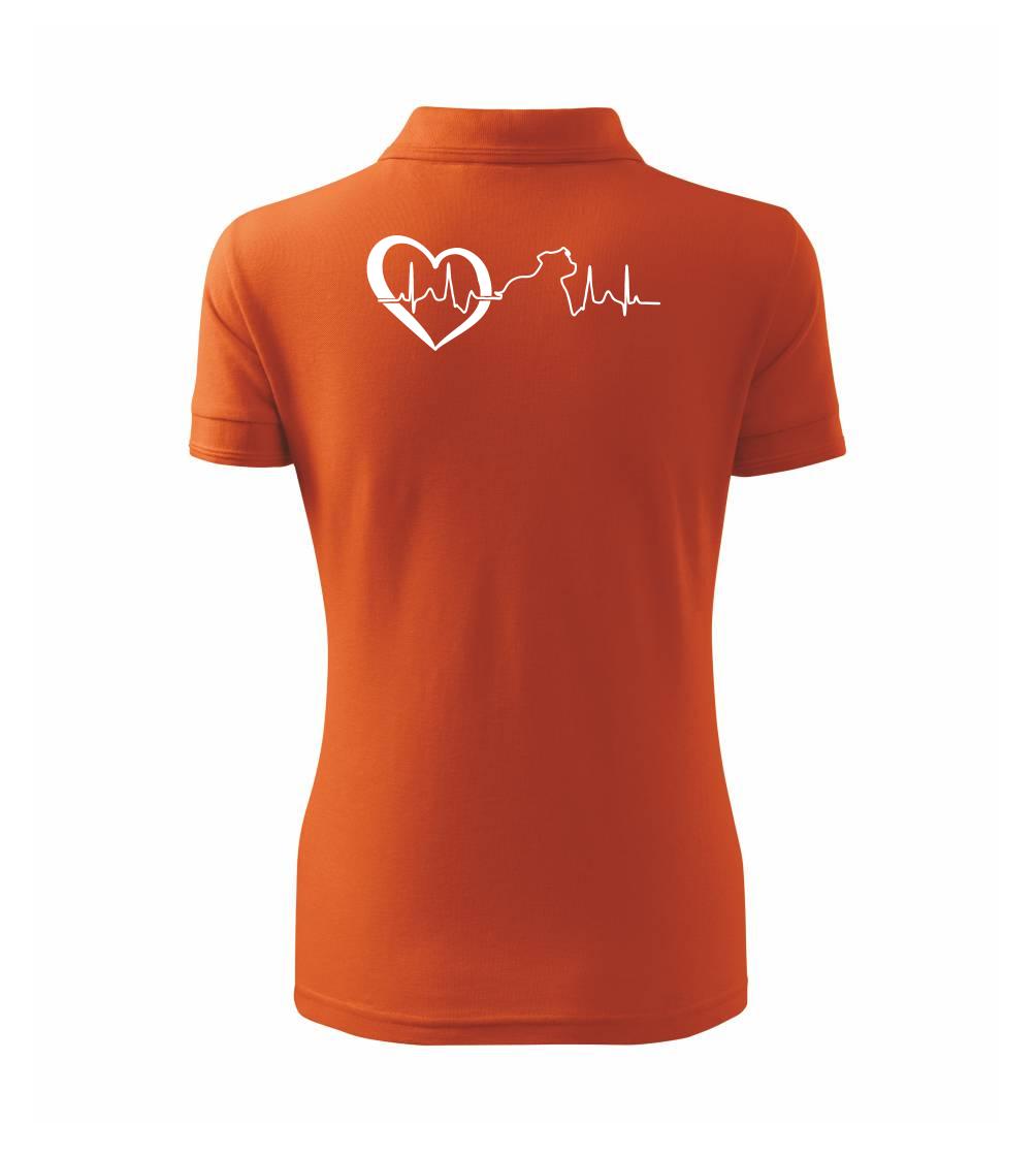 Stafordšírsky bulteriér ‎ EKG