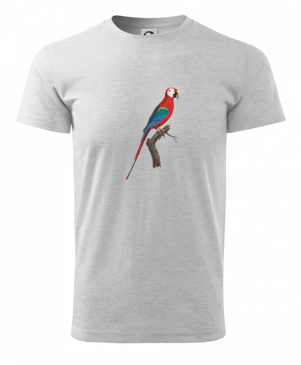 Papagáj červený na vetve Papagáj červený na vetve