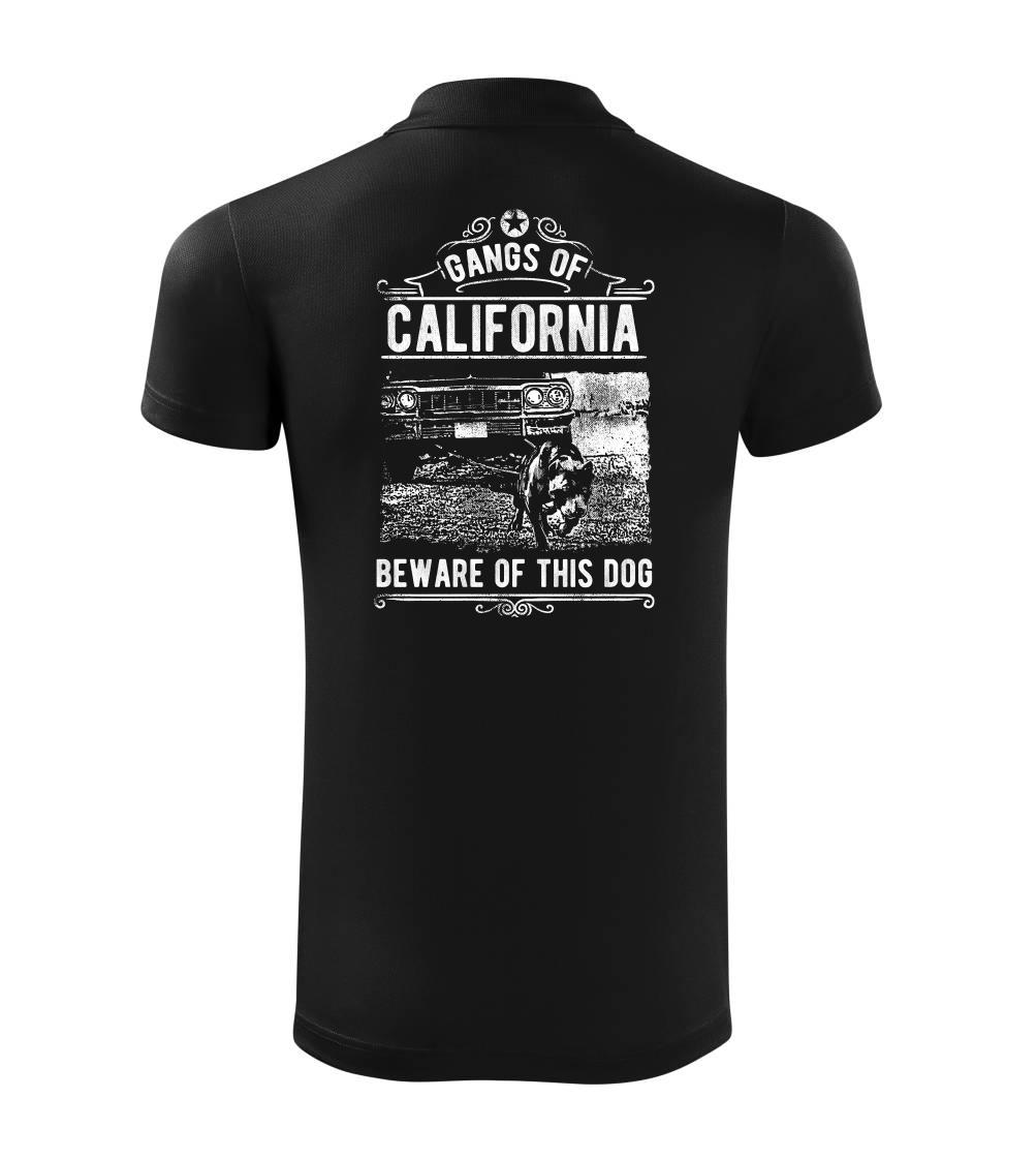 Gangs Of California Gangs Of California