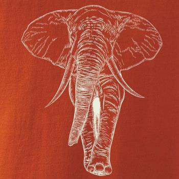 Slon vo farbe slonovej kosti