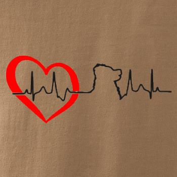 Bernský salašnický pes EKG