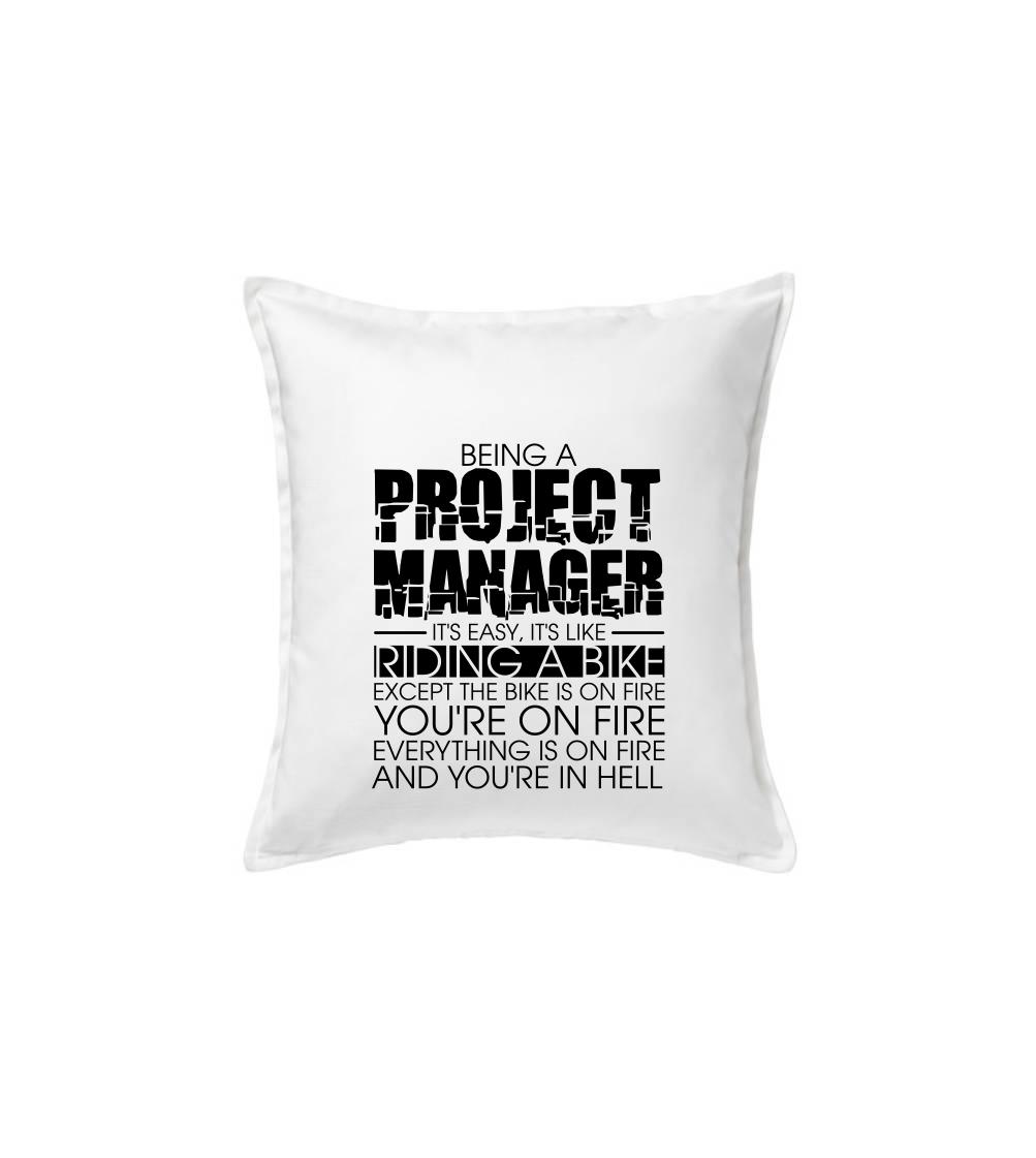 Being A Project Manager - bike