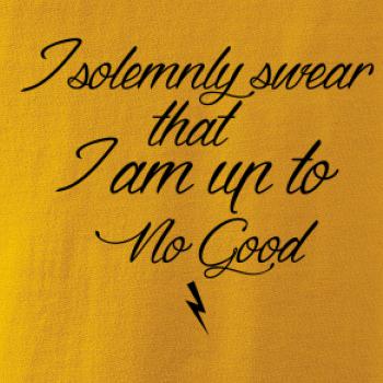 I solemnly swear that I'm up to no good I solemnly swear that I'm up to no good