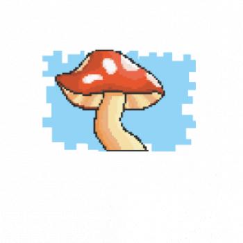 Gamer - stará hra - huba Gamer - stará hra - huba