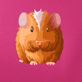 Morča - kreslené spredu