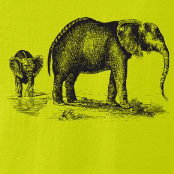 Slonica a sloníča kreslené