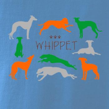 Whippet farebný Whippet farebný
