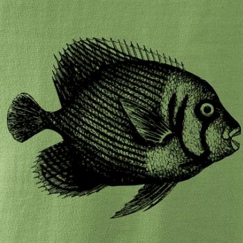 Morská ryba kreslená