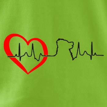 Bernský salašnický pes EKG