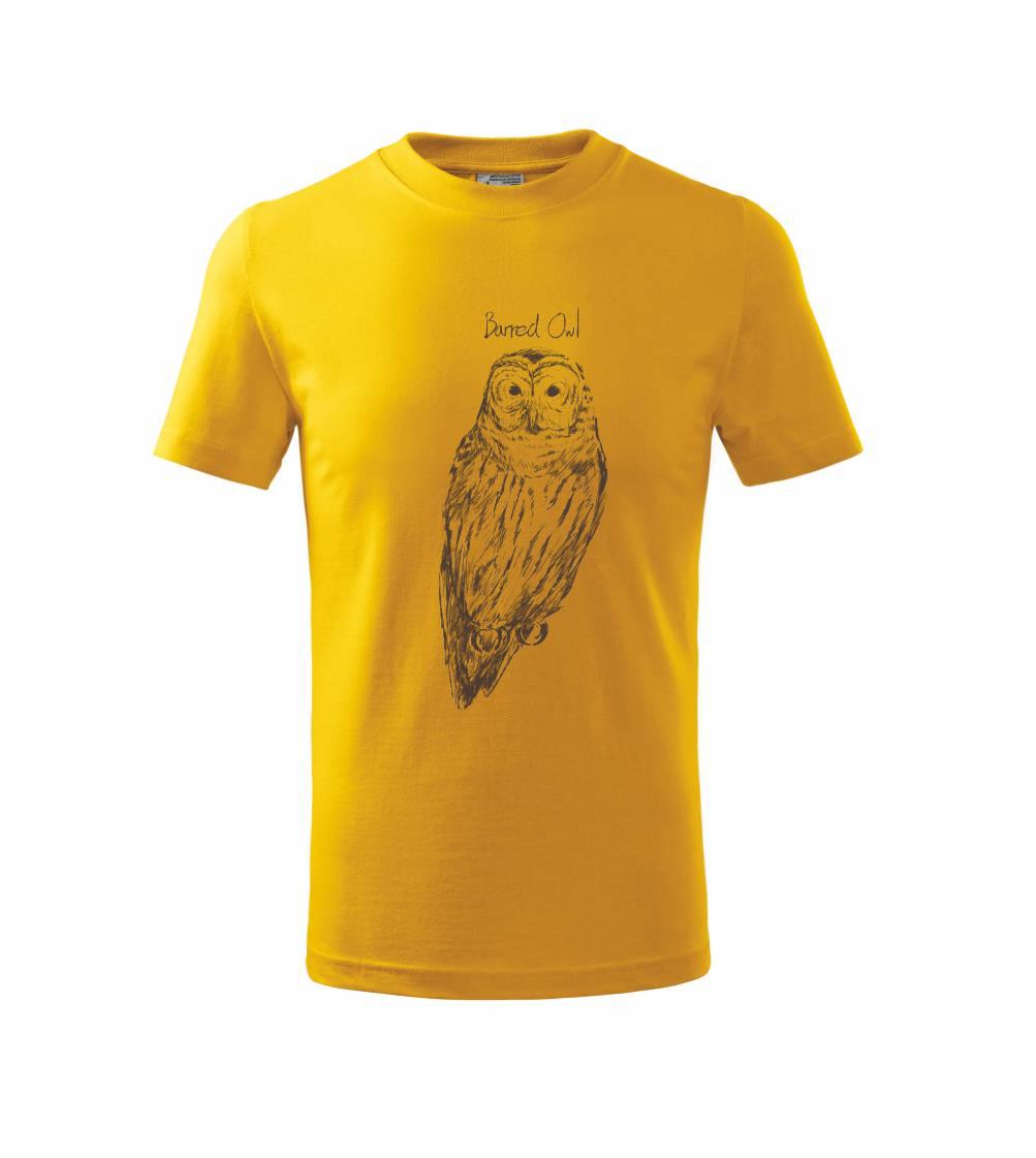 Sova pásikavá  Barred owl