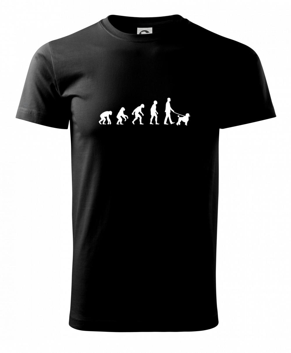 Evolúcia pes pudel (muž-žena) Evolúcia pes pudel (muž-žena)