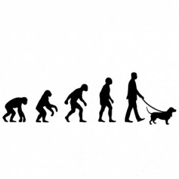 Evolúcia pes baset (muž-žena)