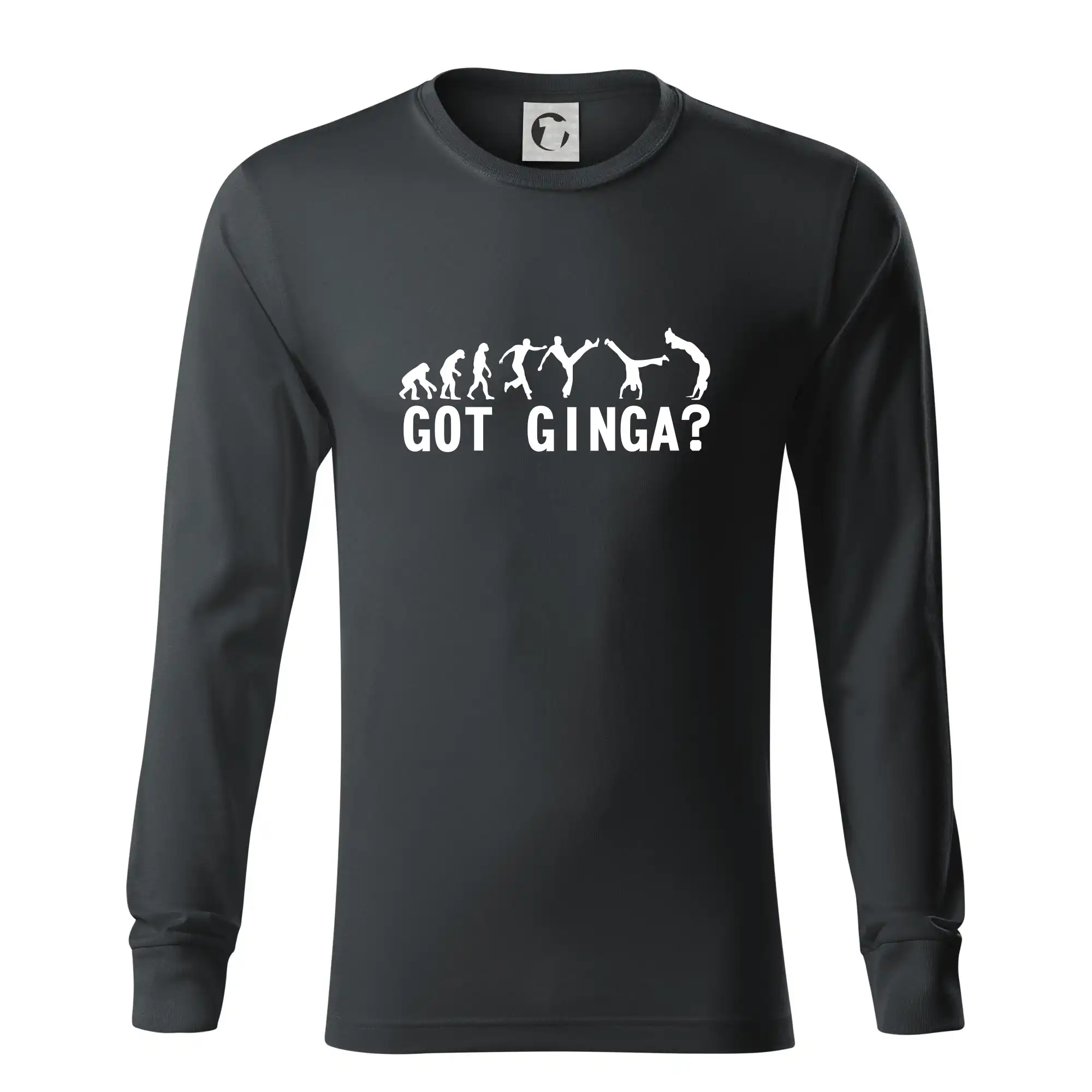 Capoeira - Got Ginga