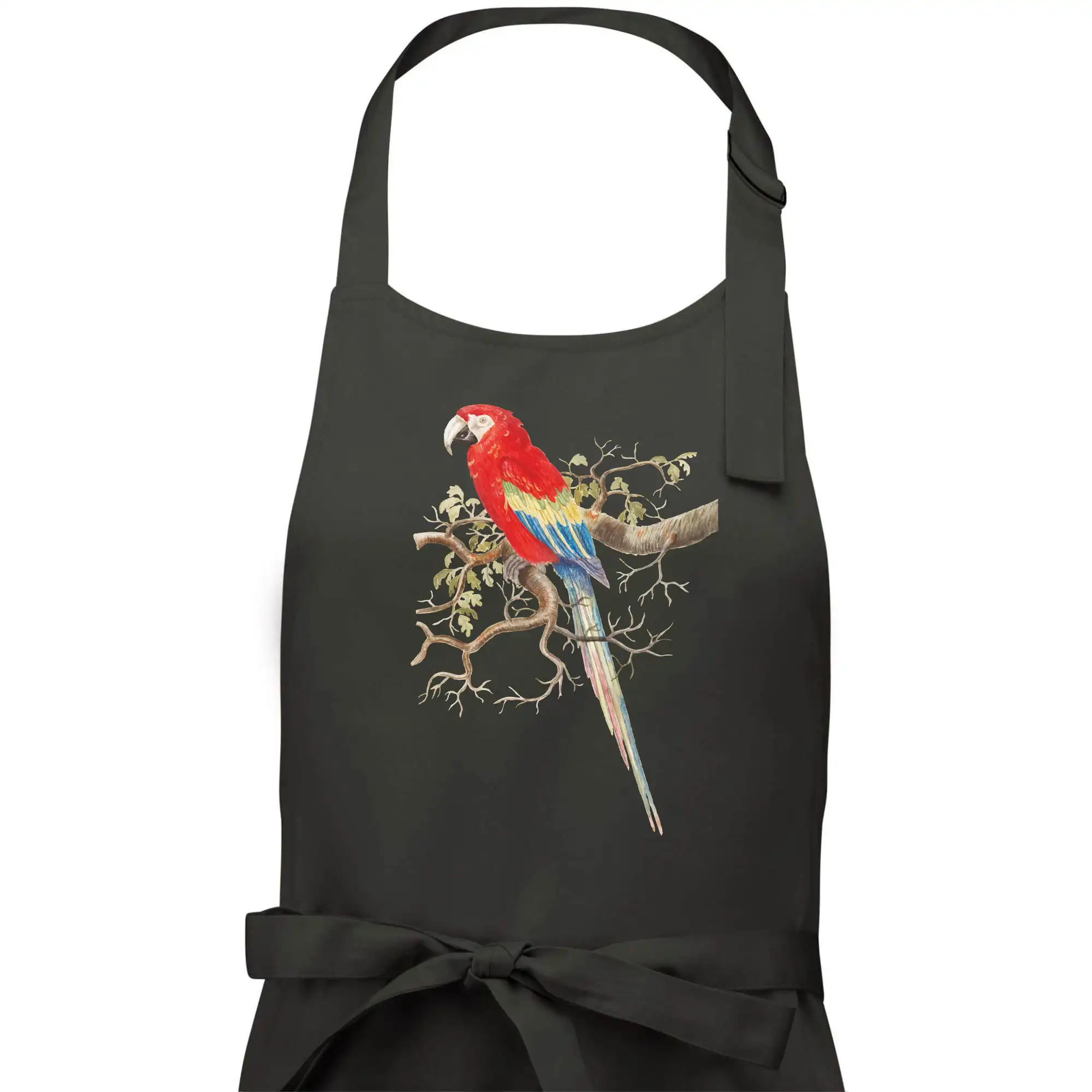 Papoušek na listnatém stromě