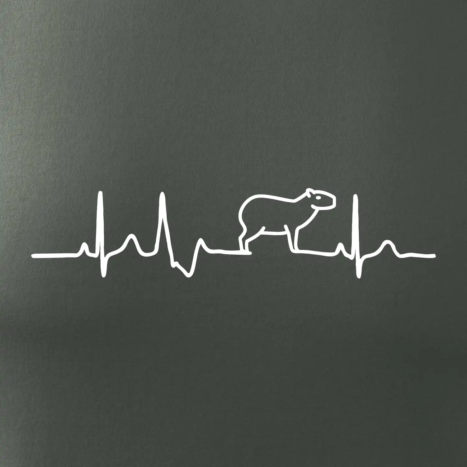 Ekg Capybara
