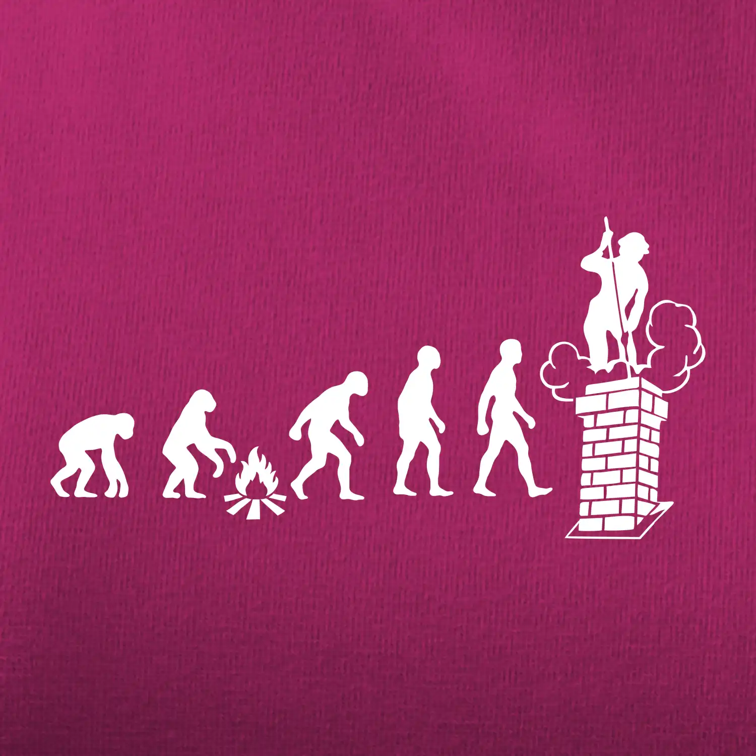 Evoluce kominík