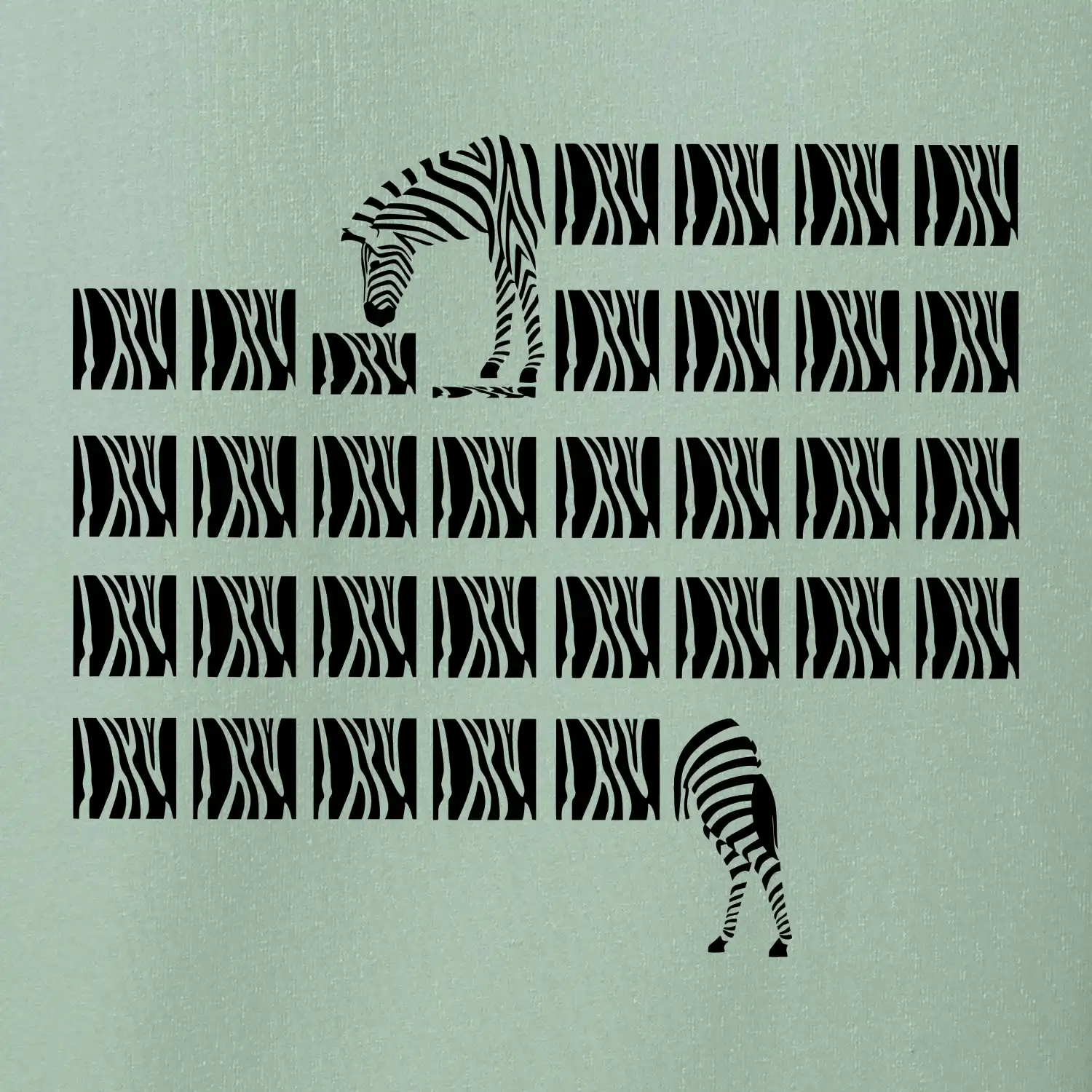 Zebra dlouhá