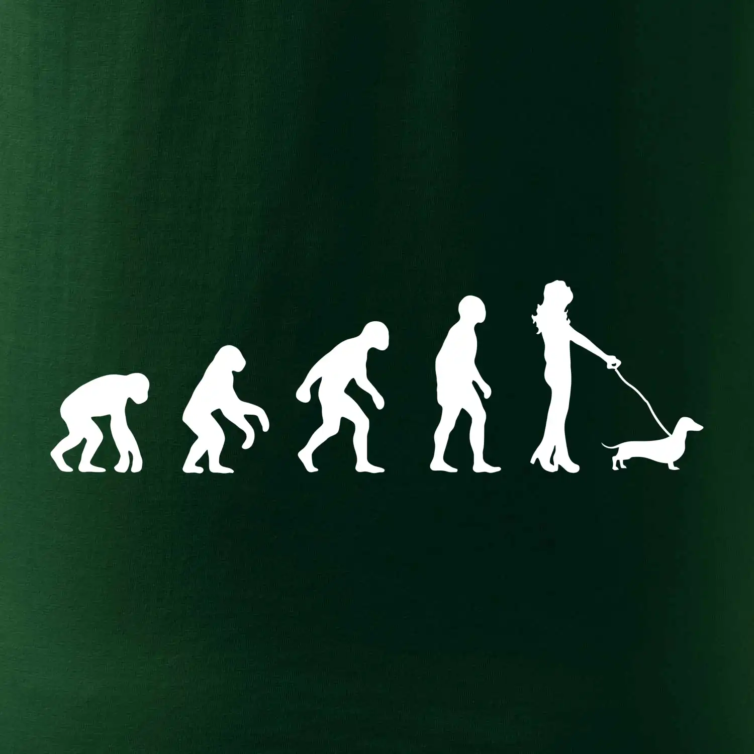 Jezevčík Evoluce žena