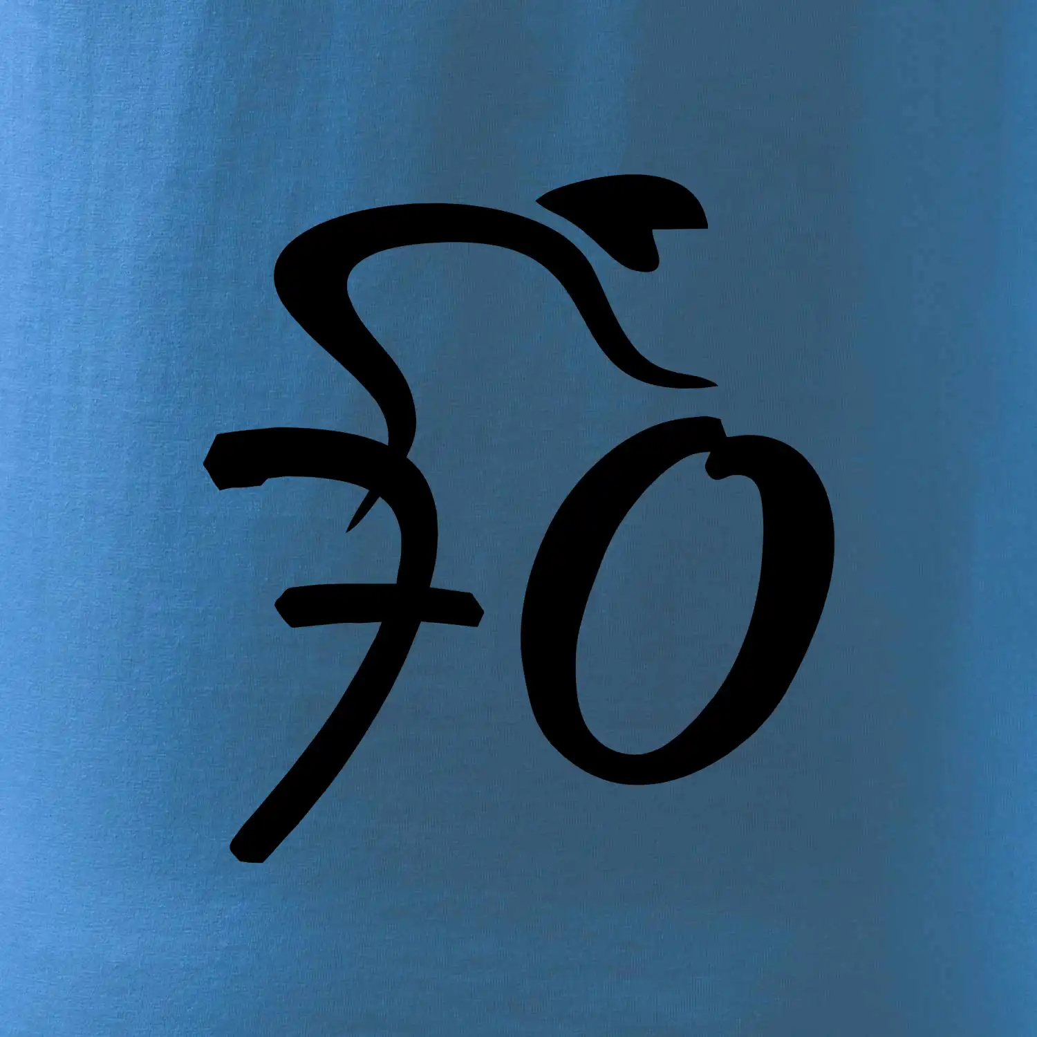 Cyklista slaví sedmdesátku (70)