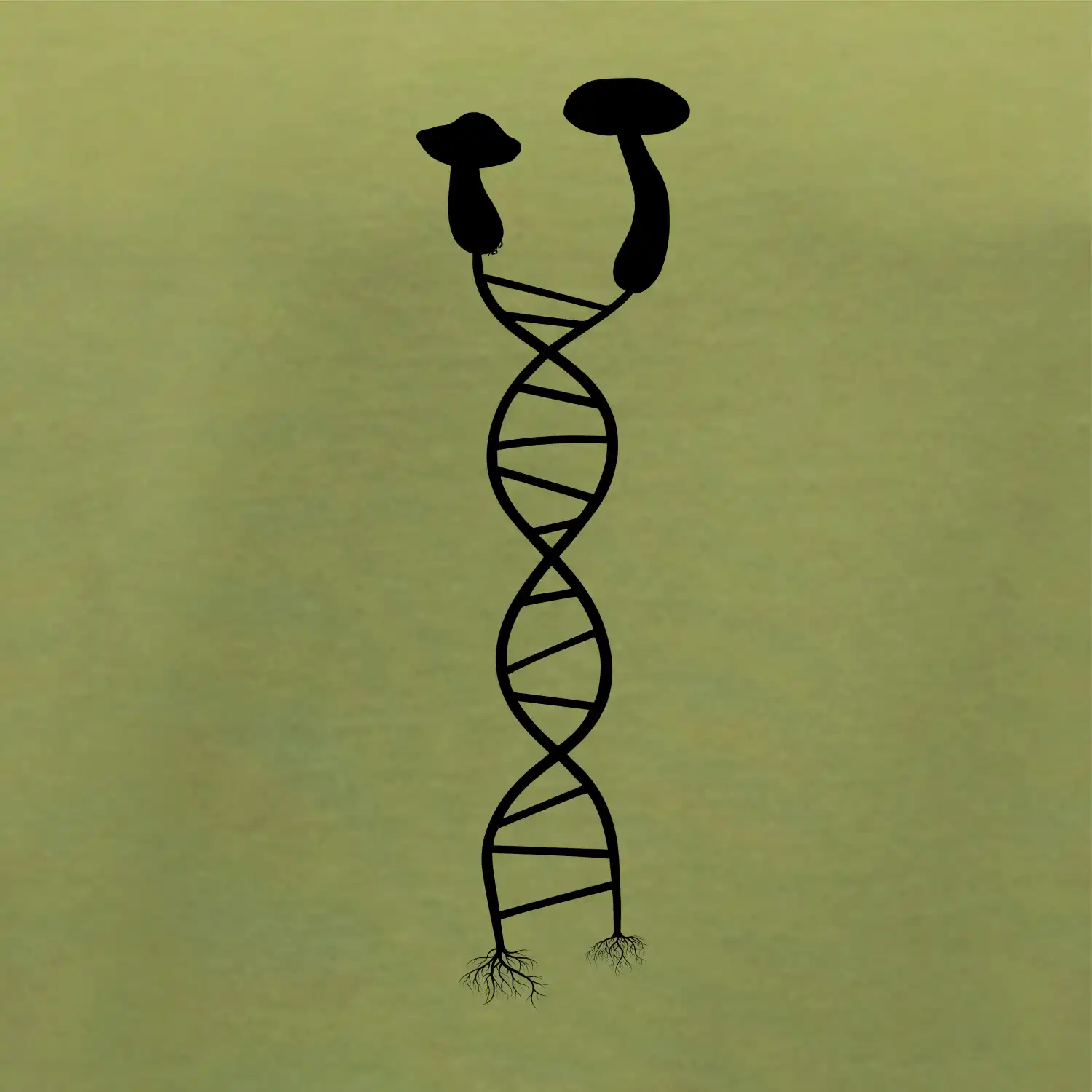 DNA houby