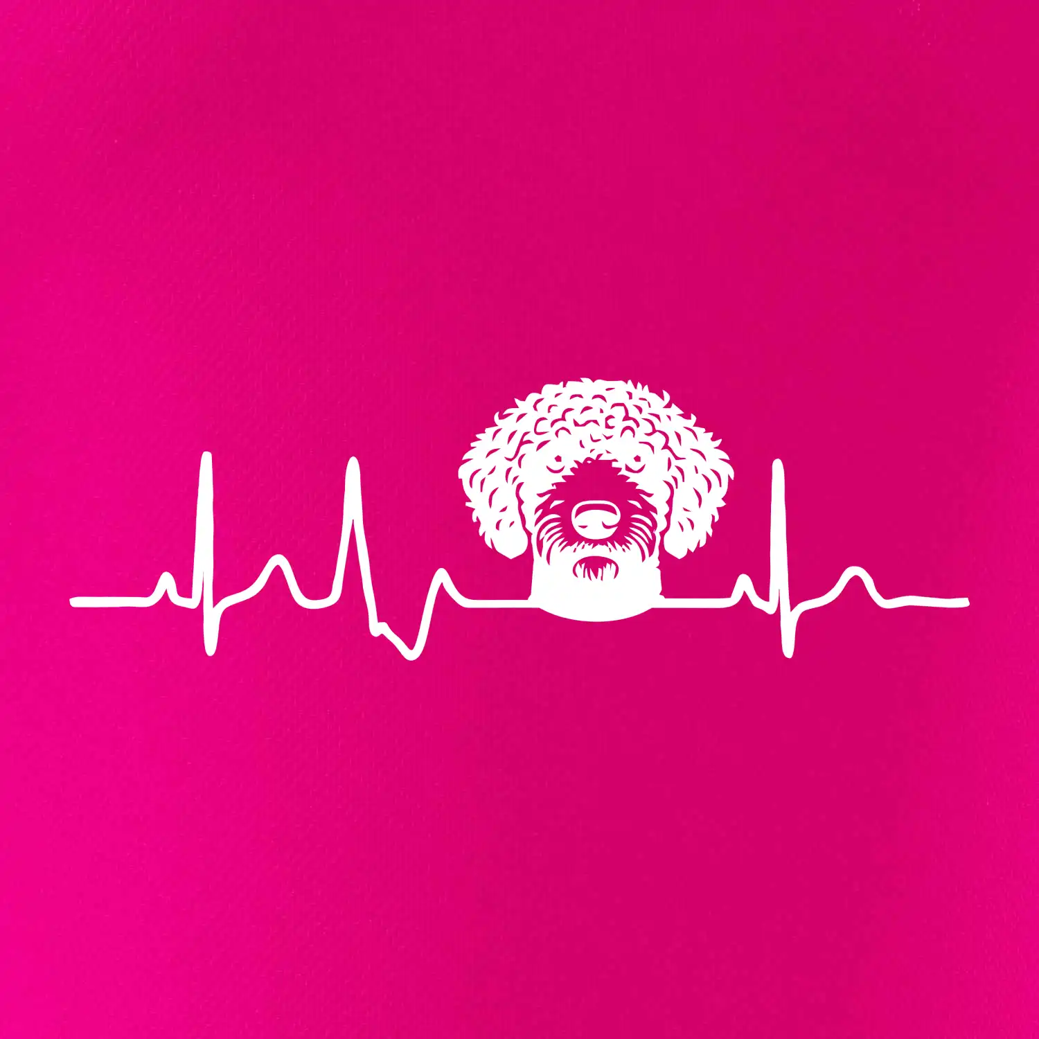 Lagotto romagnolo hlava EKG