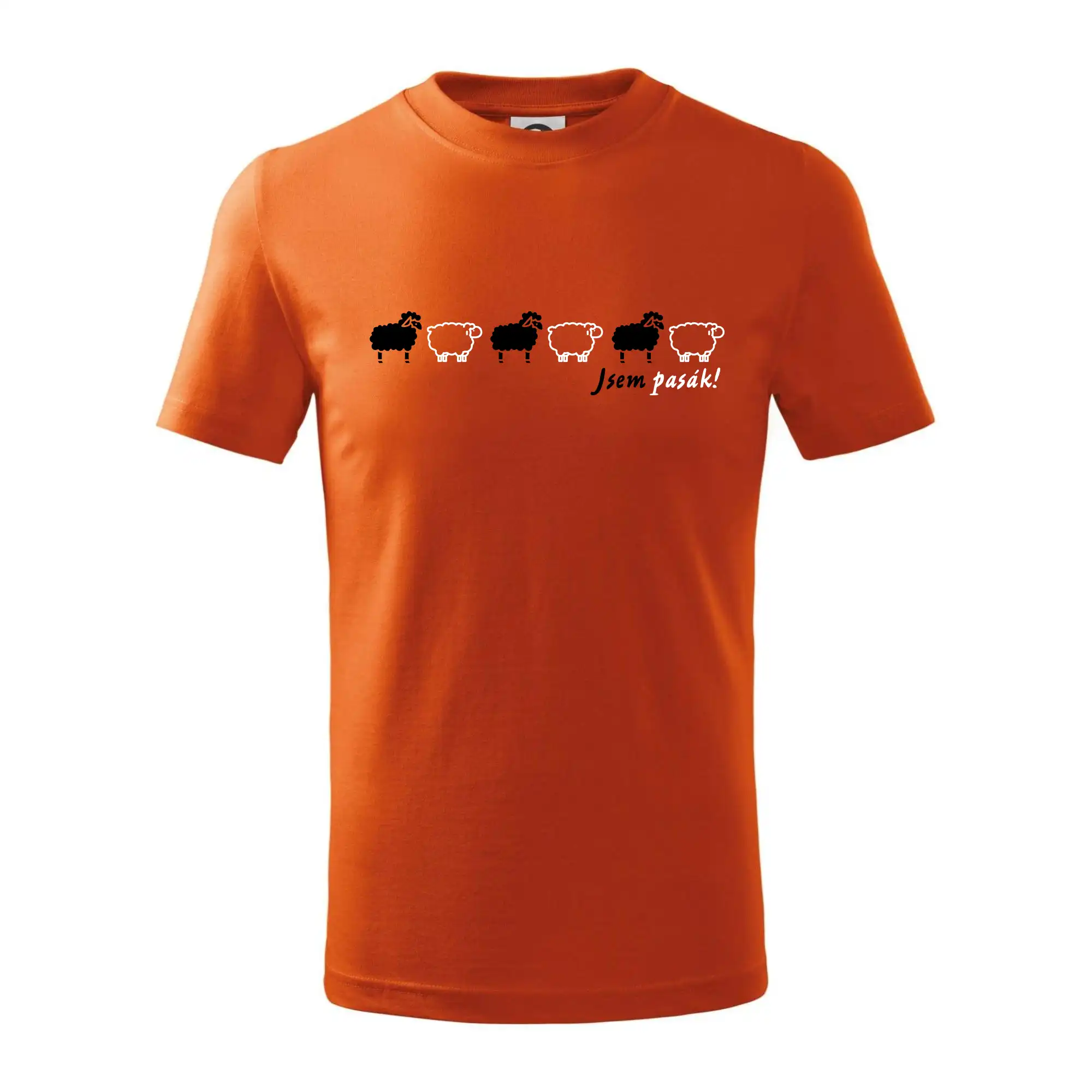 Jsem pasák - ovce v řadě