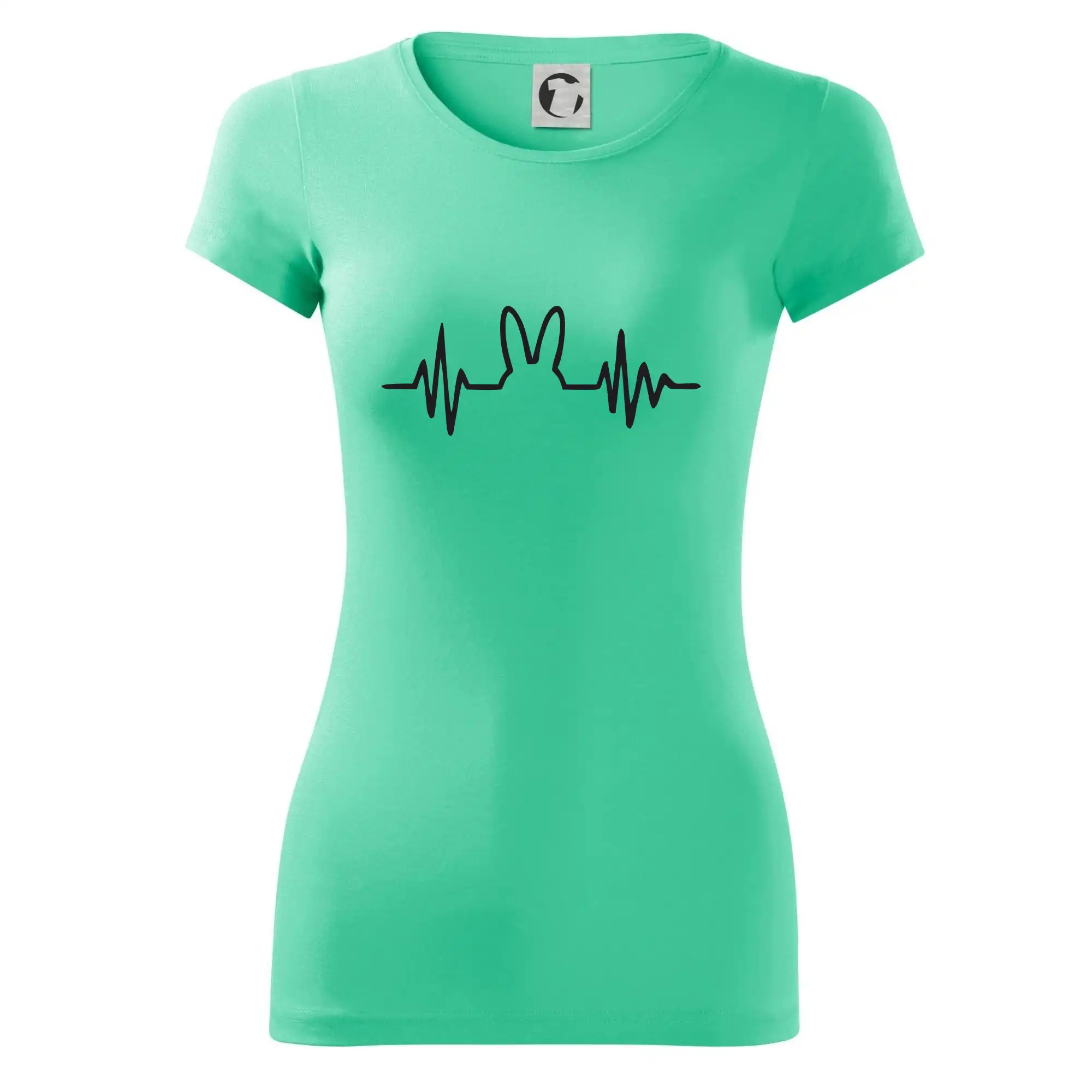 EKG zajíc
