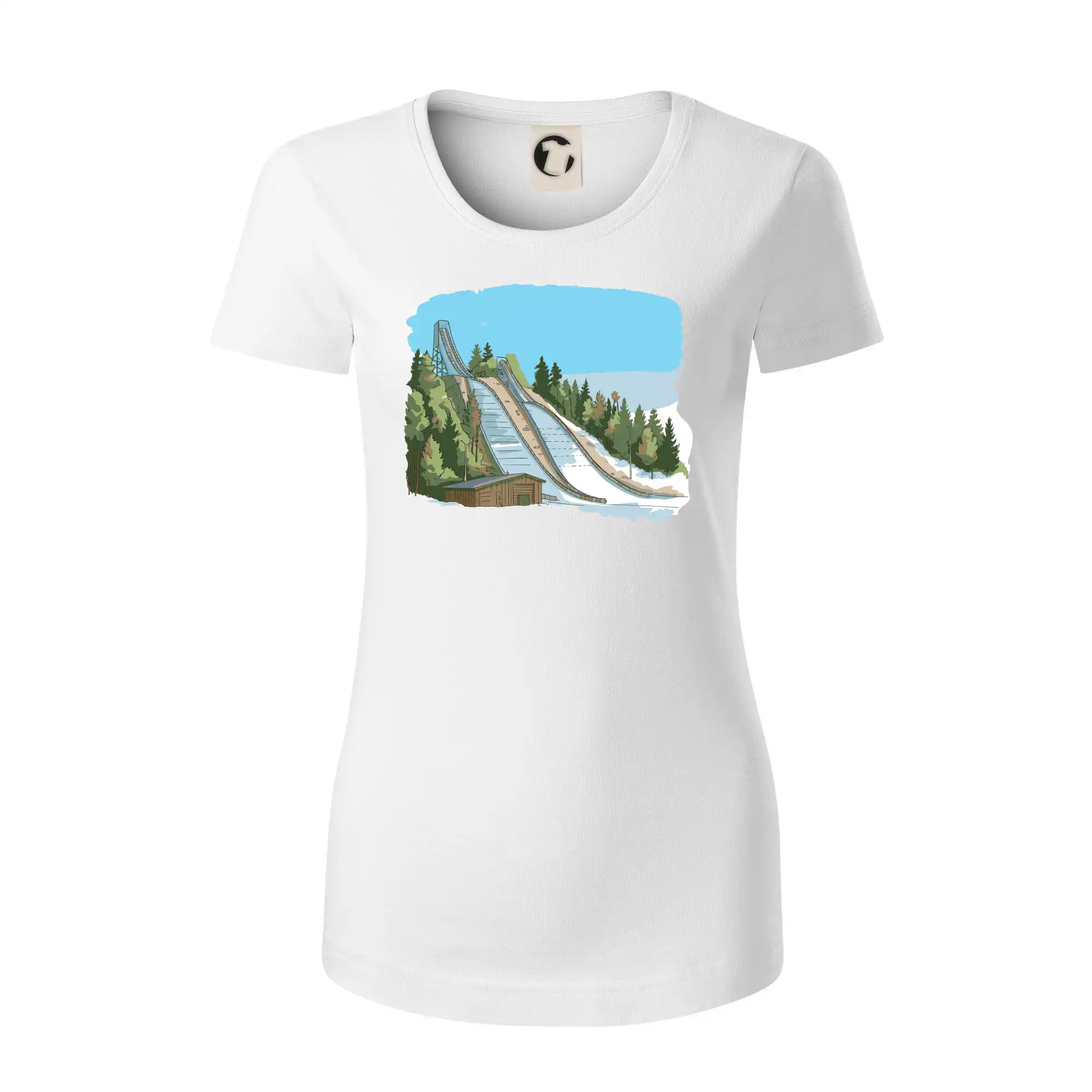 Obrázek skokanských můstků