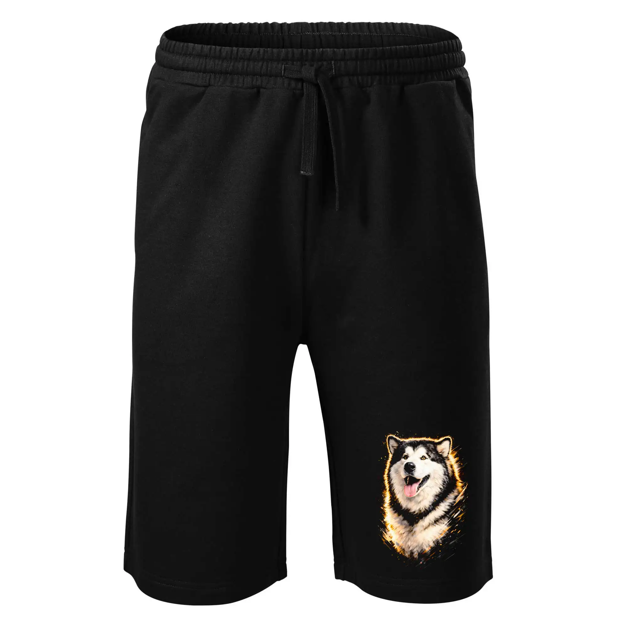 Obrázek polotón Aljašský malamut