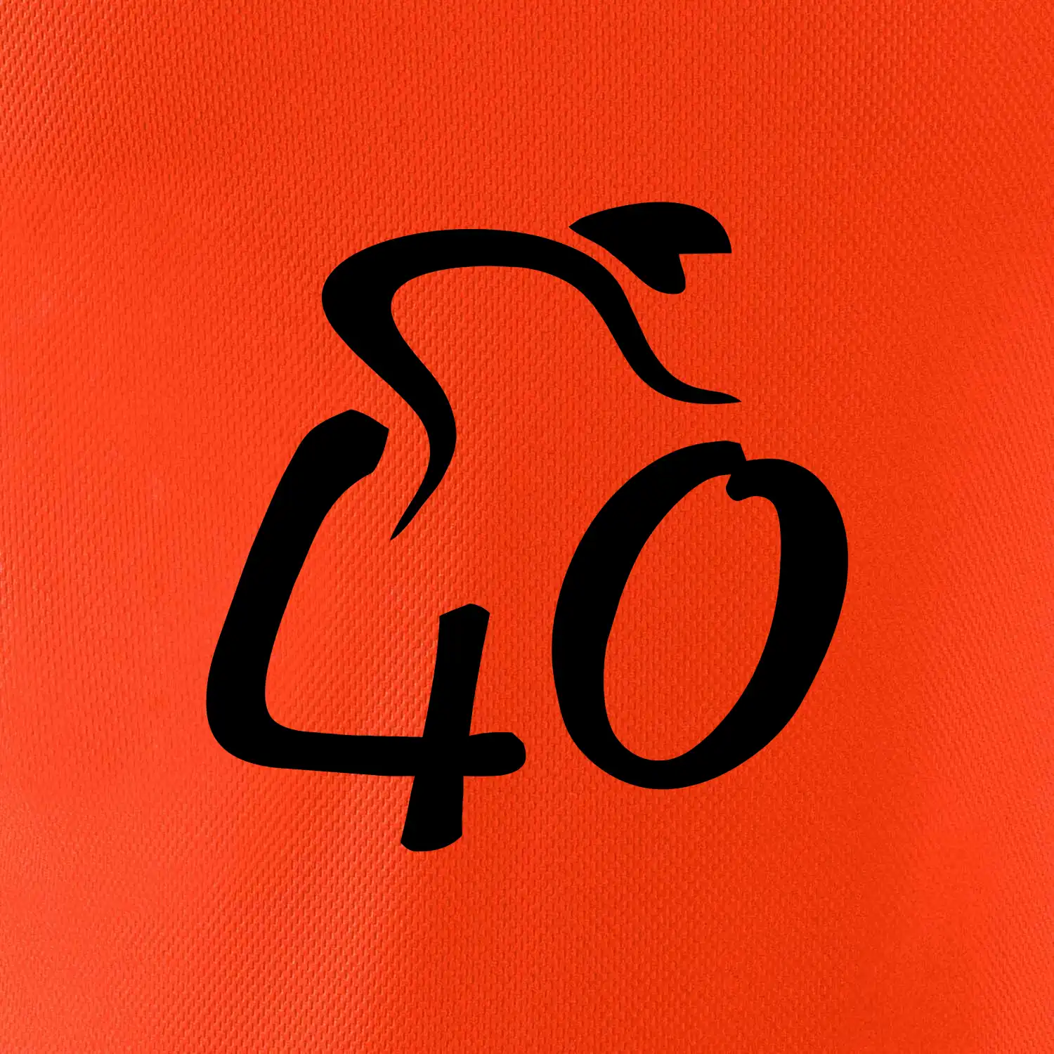 Cyklista slaví čtyřicítku (40)