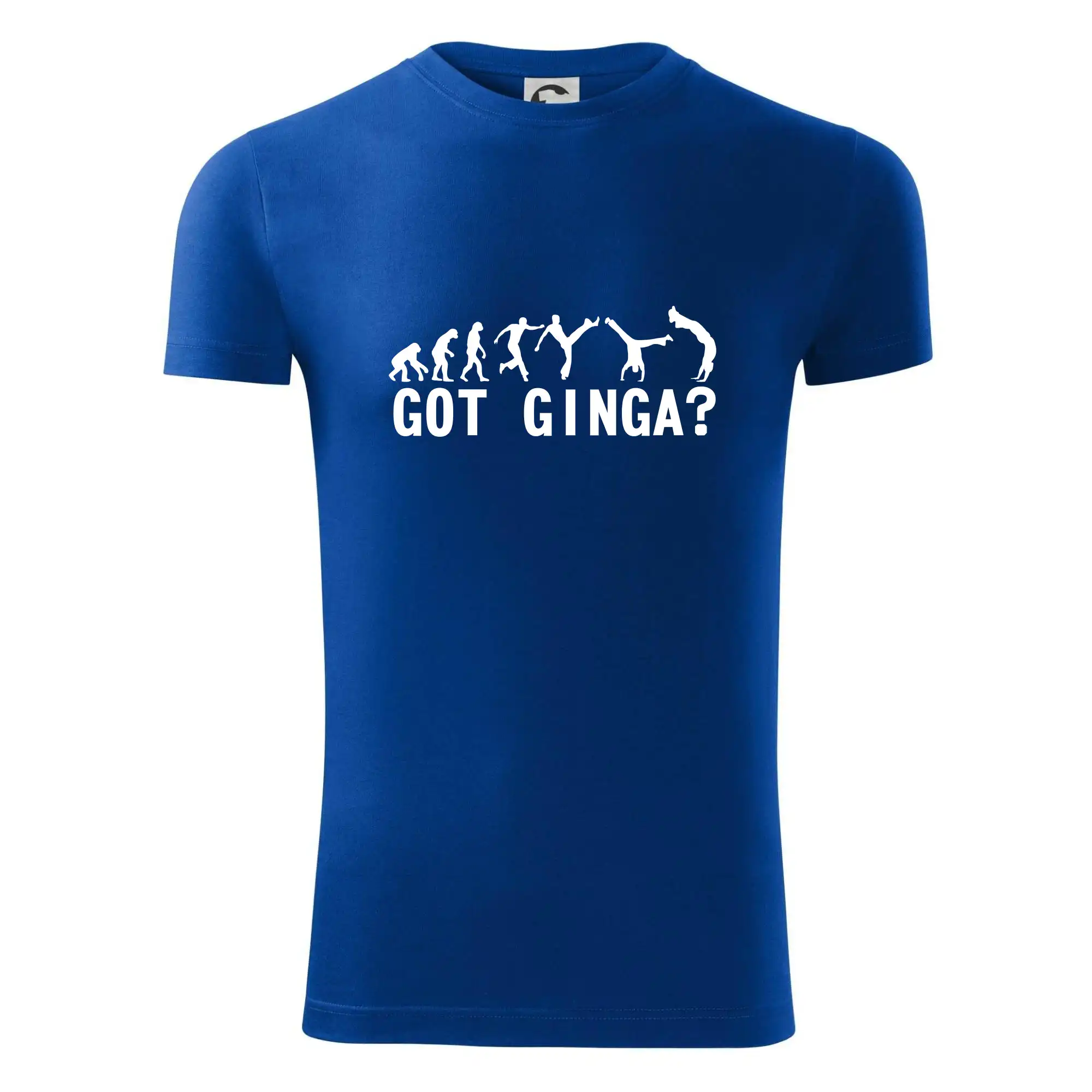 Capoeira - Got Ginga