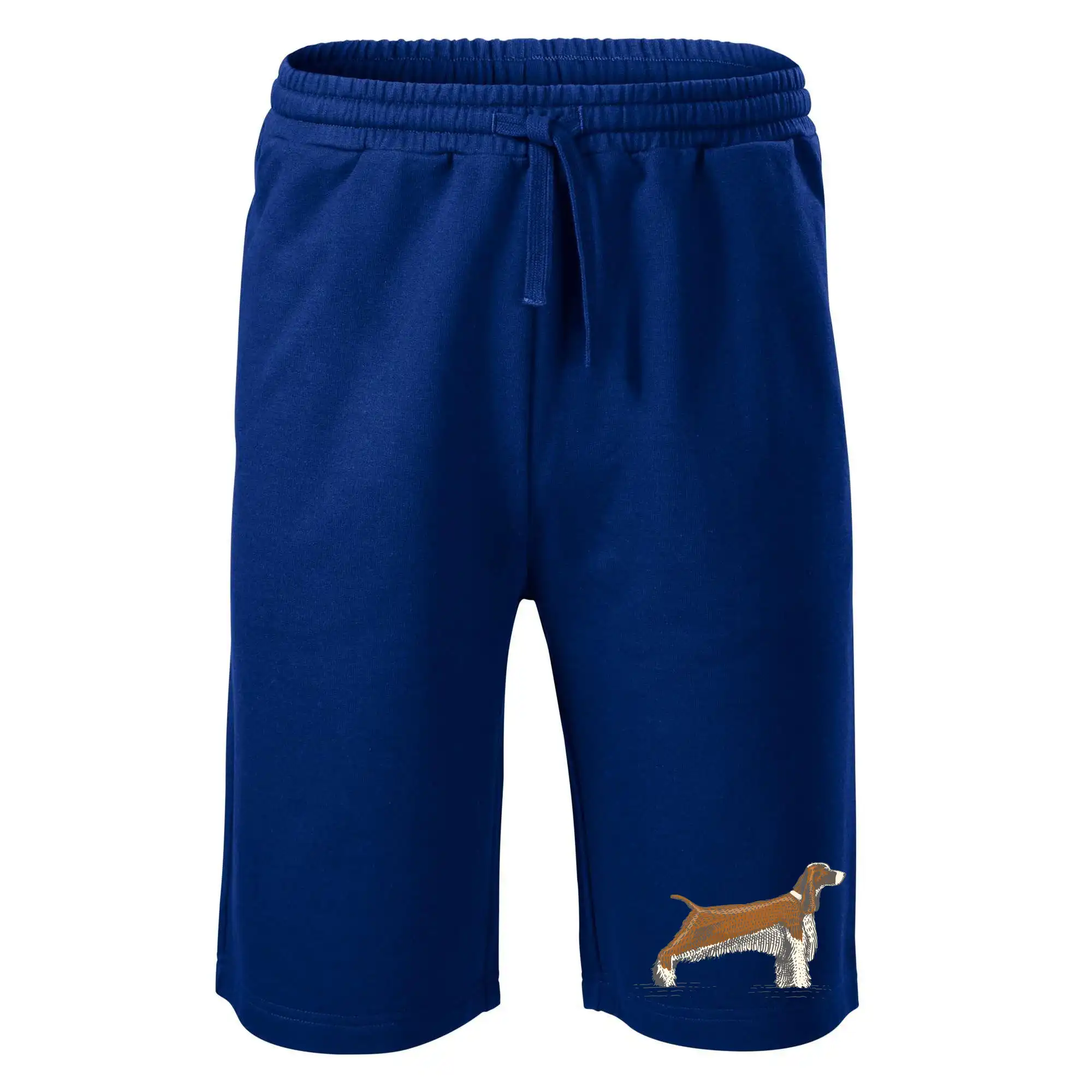 Vintage Springer spaniel