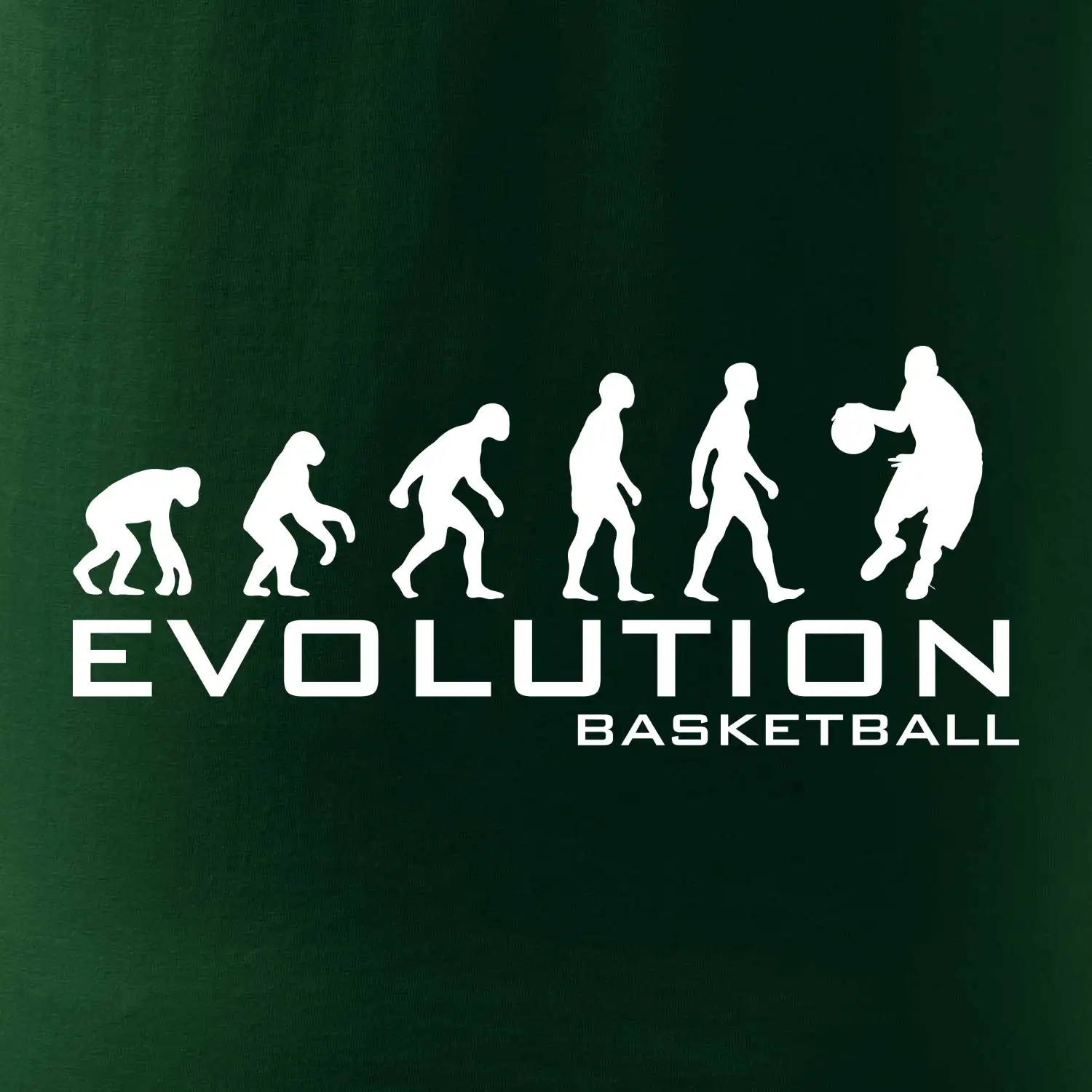 Evoluce Basketball