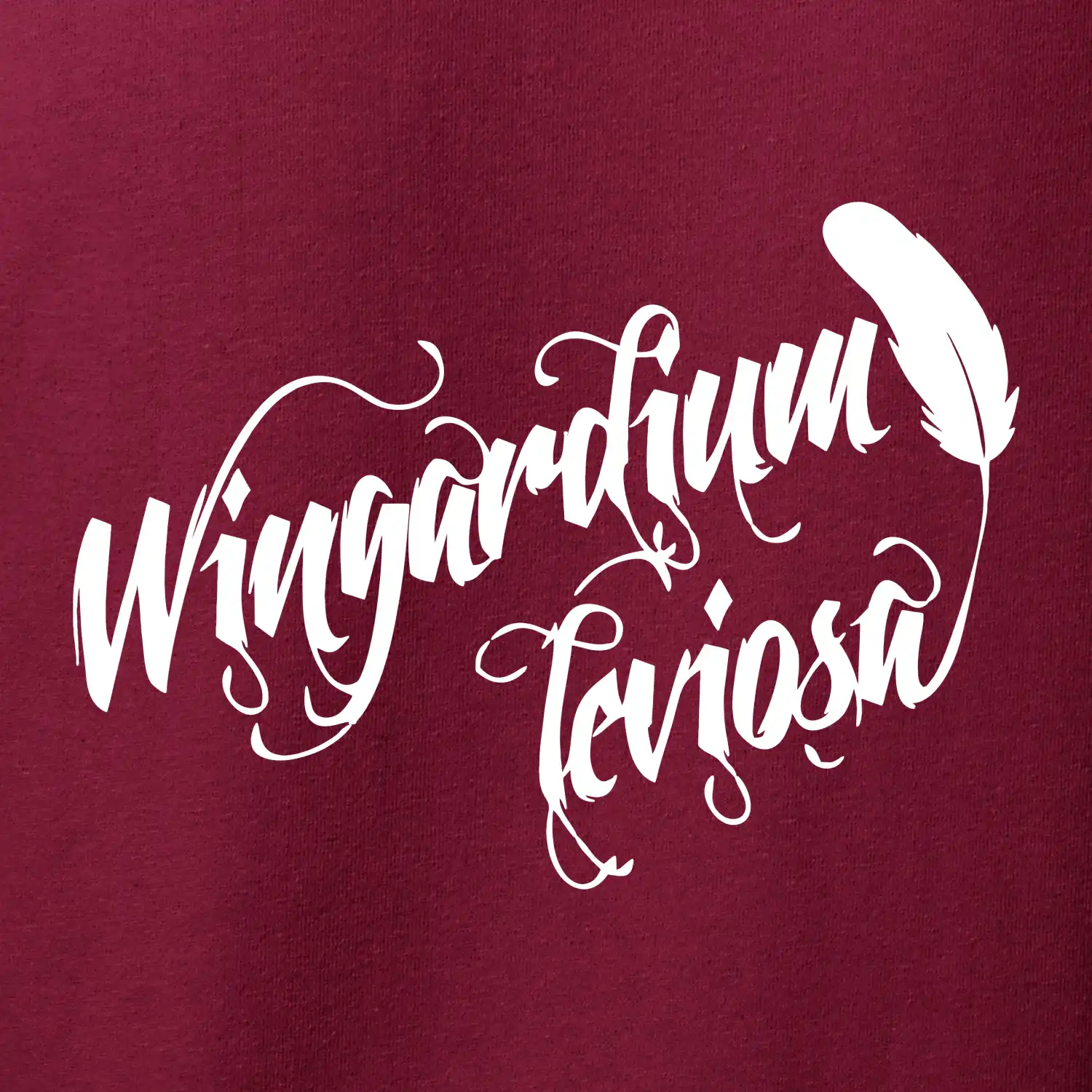 Harry - Wingardium Leviosa