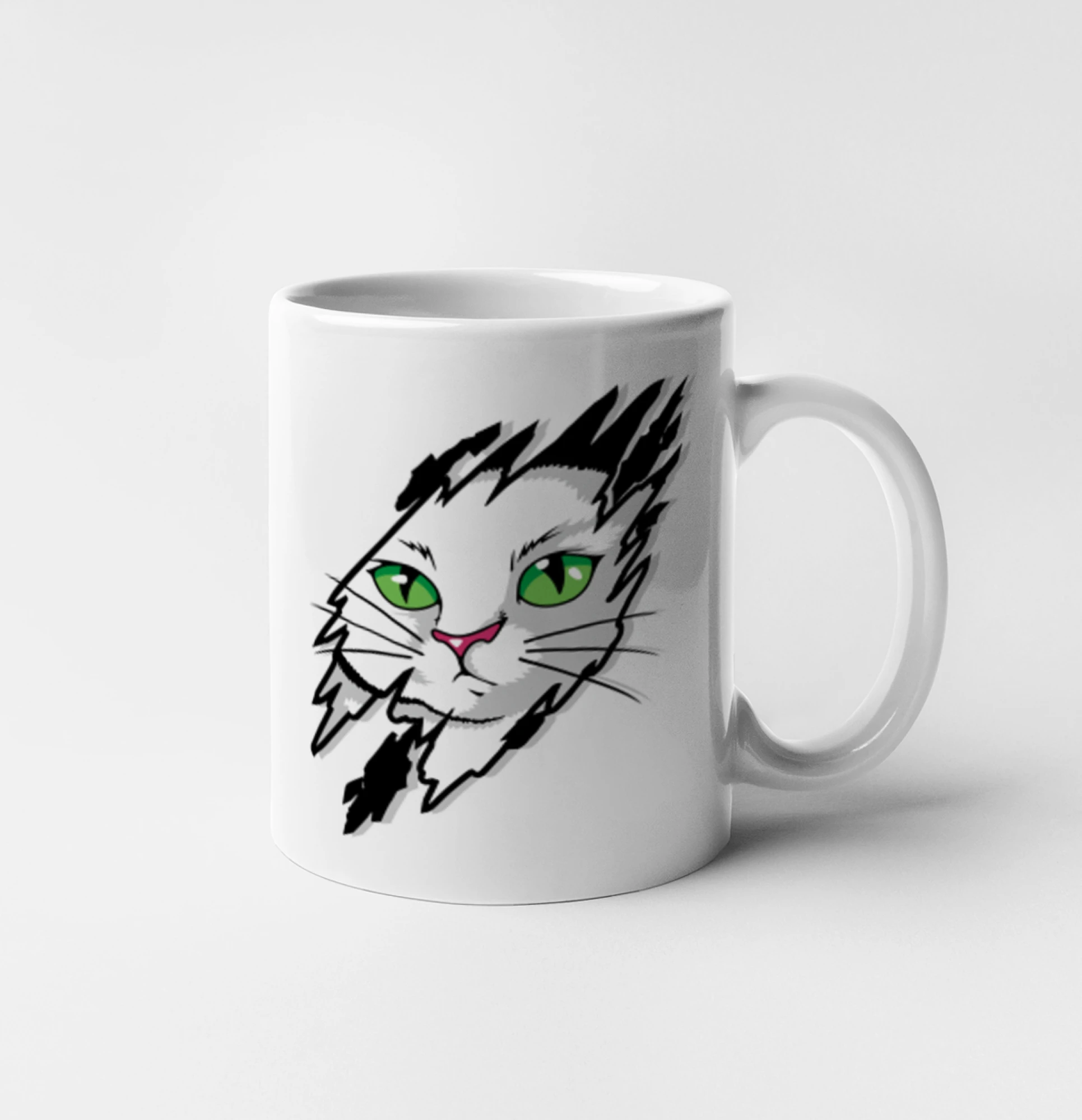 Kočka v roztrženém triku