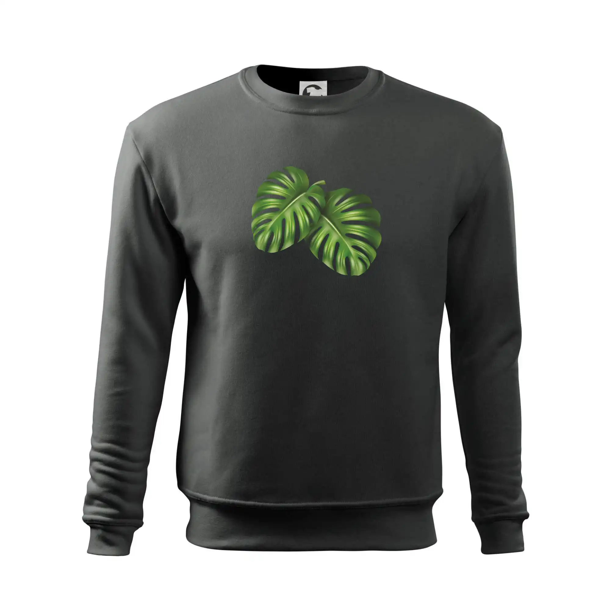 Monstera - dva listy