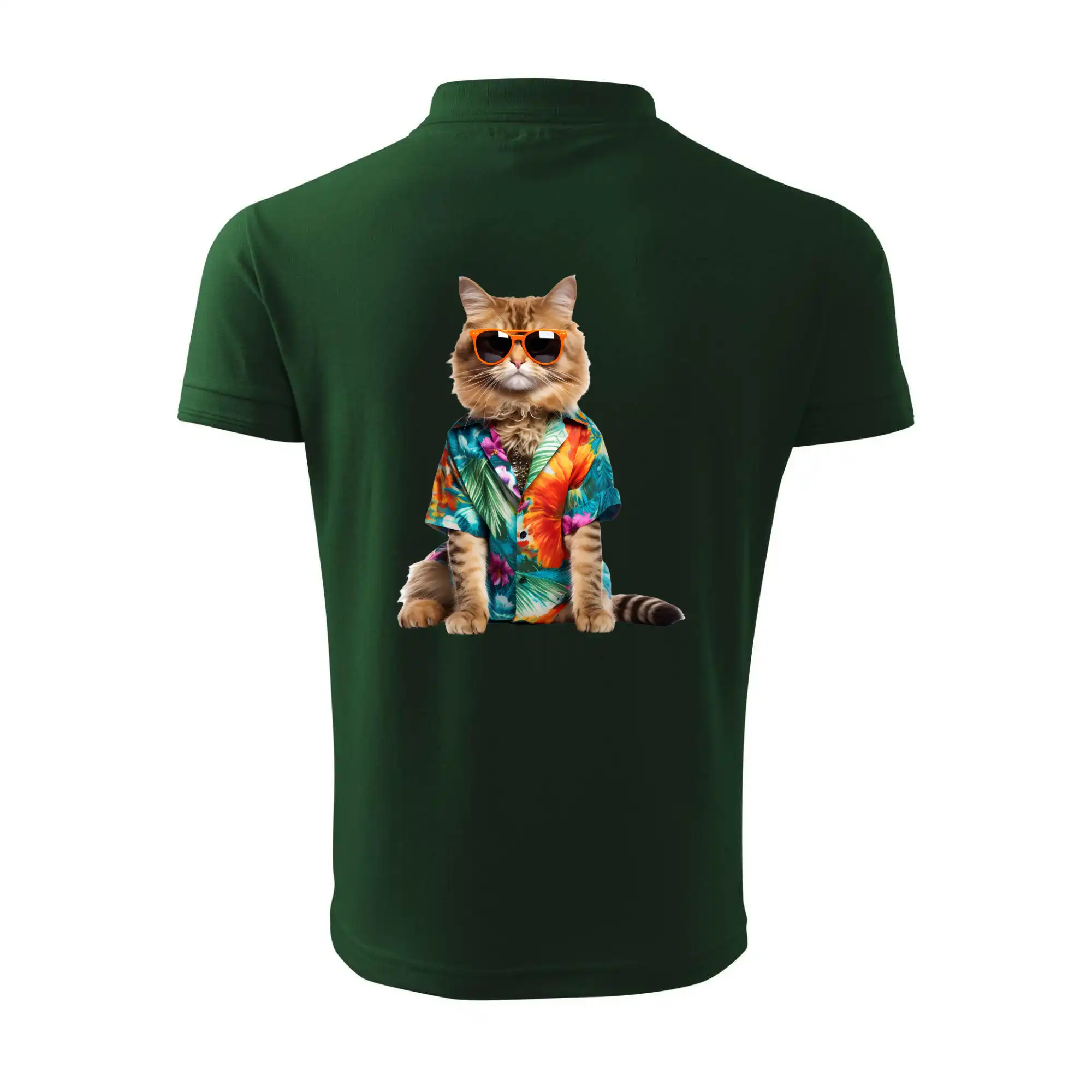 Kočka v létě