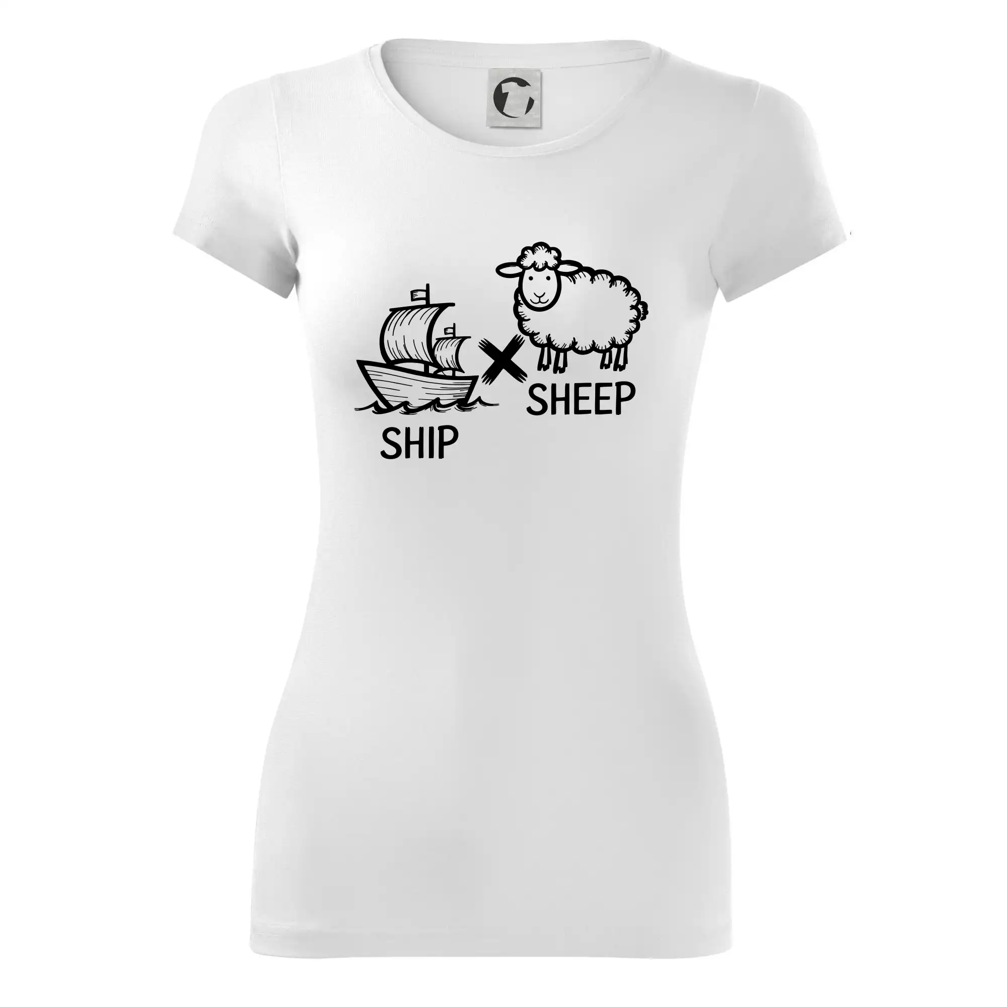 Anglický slovníček - Ship sheep