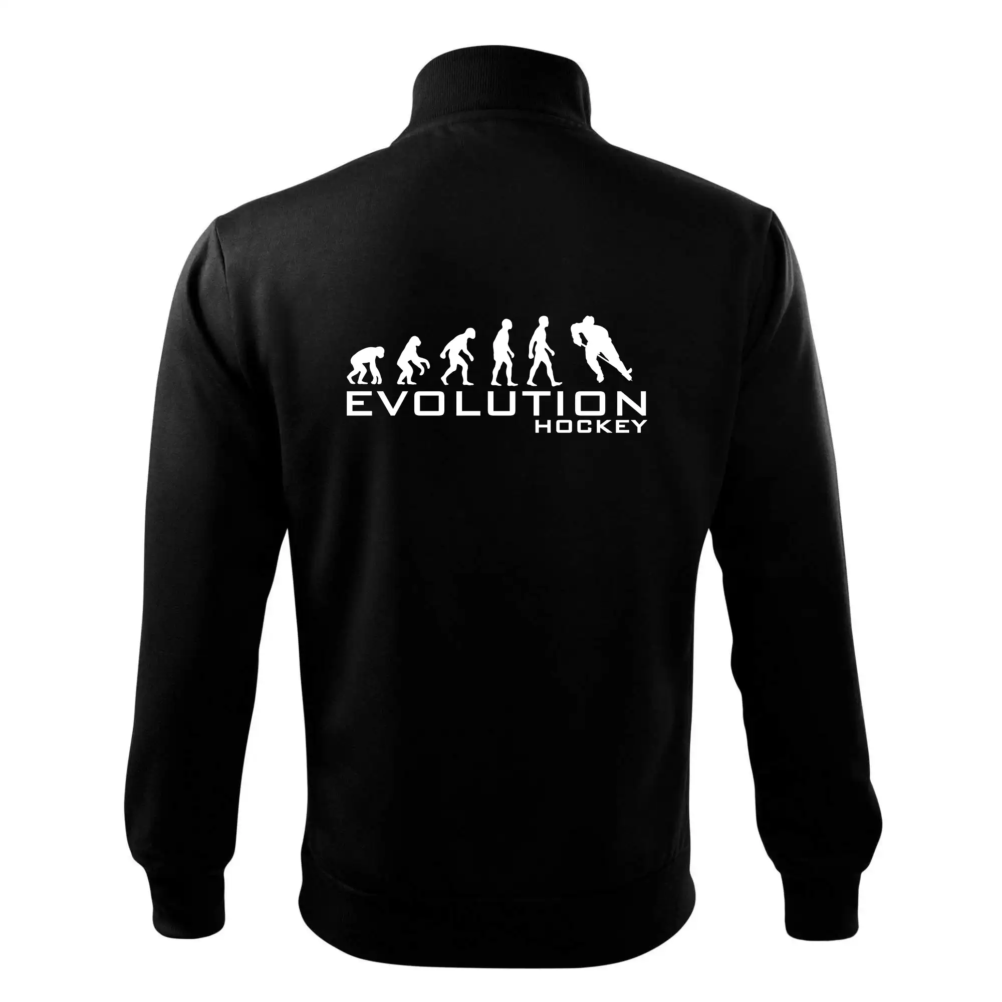 Evoluce Hockey - hráč