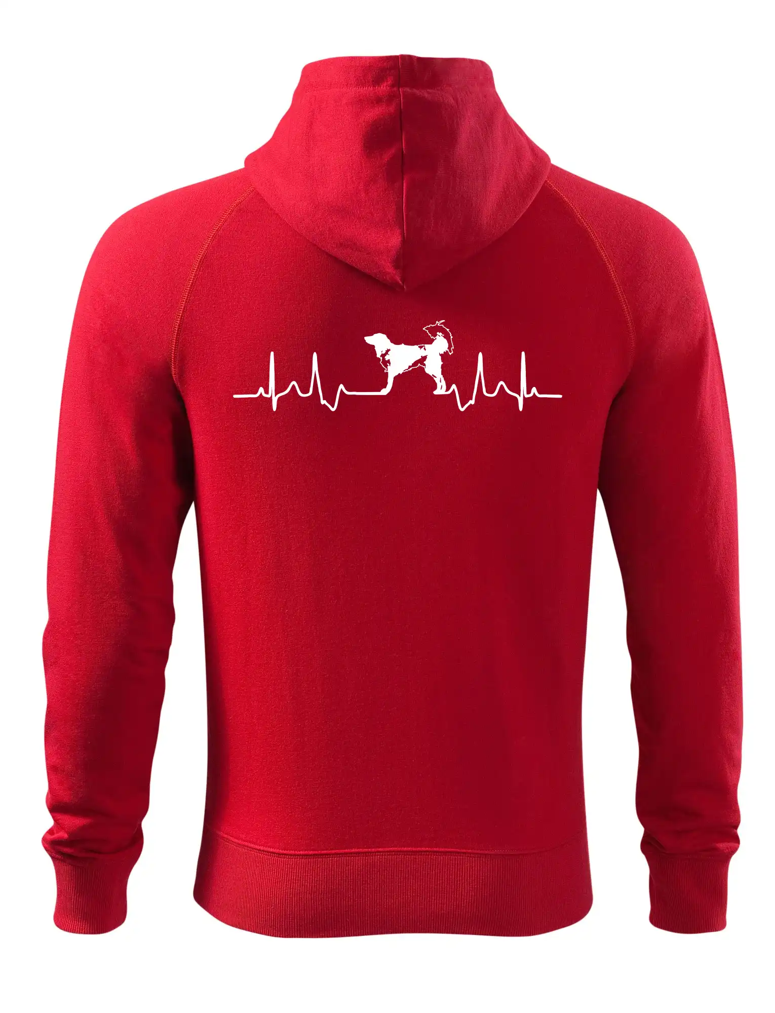 Český strakatý pes EKG