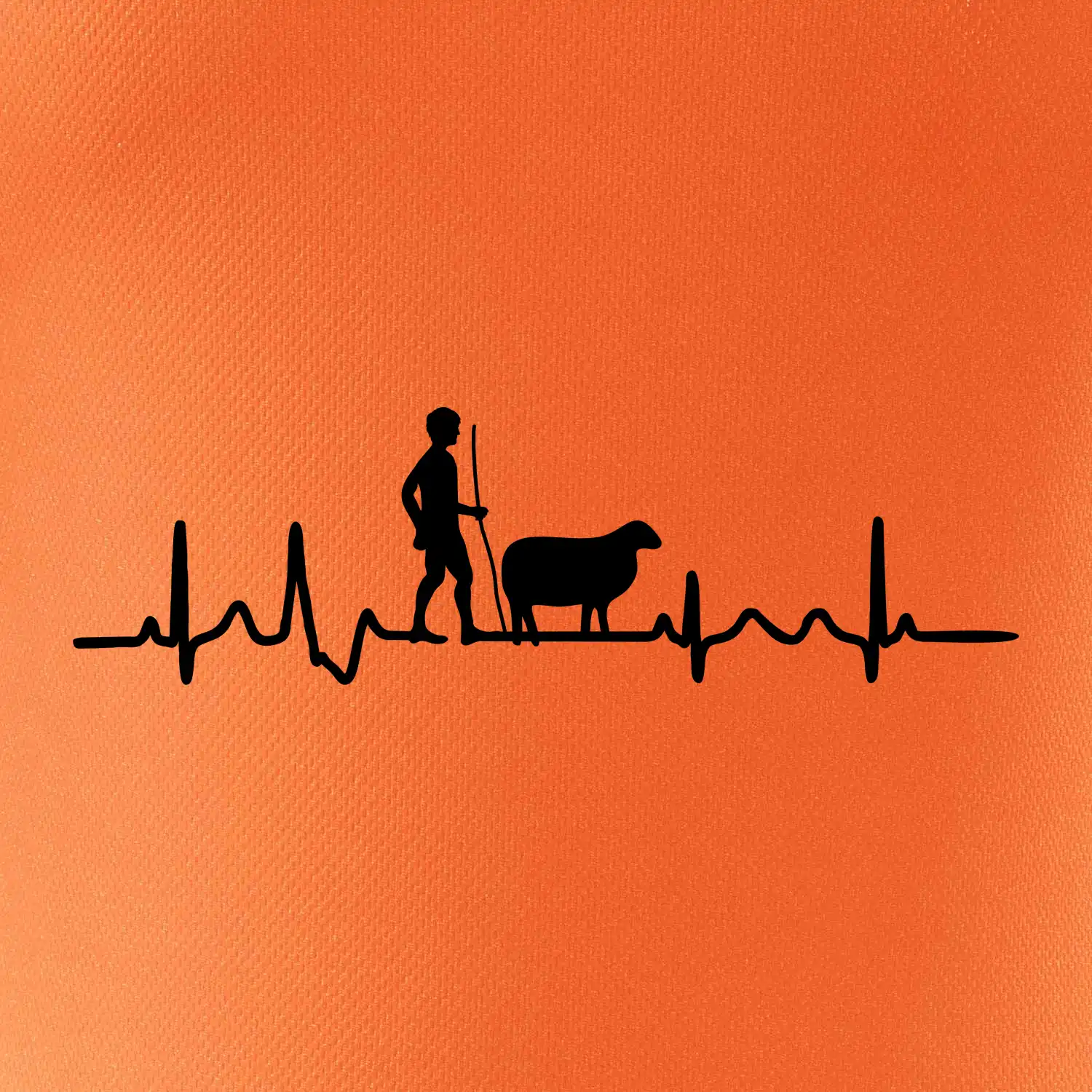Ekg pastevec ovcí